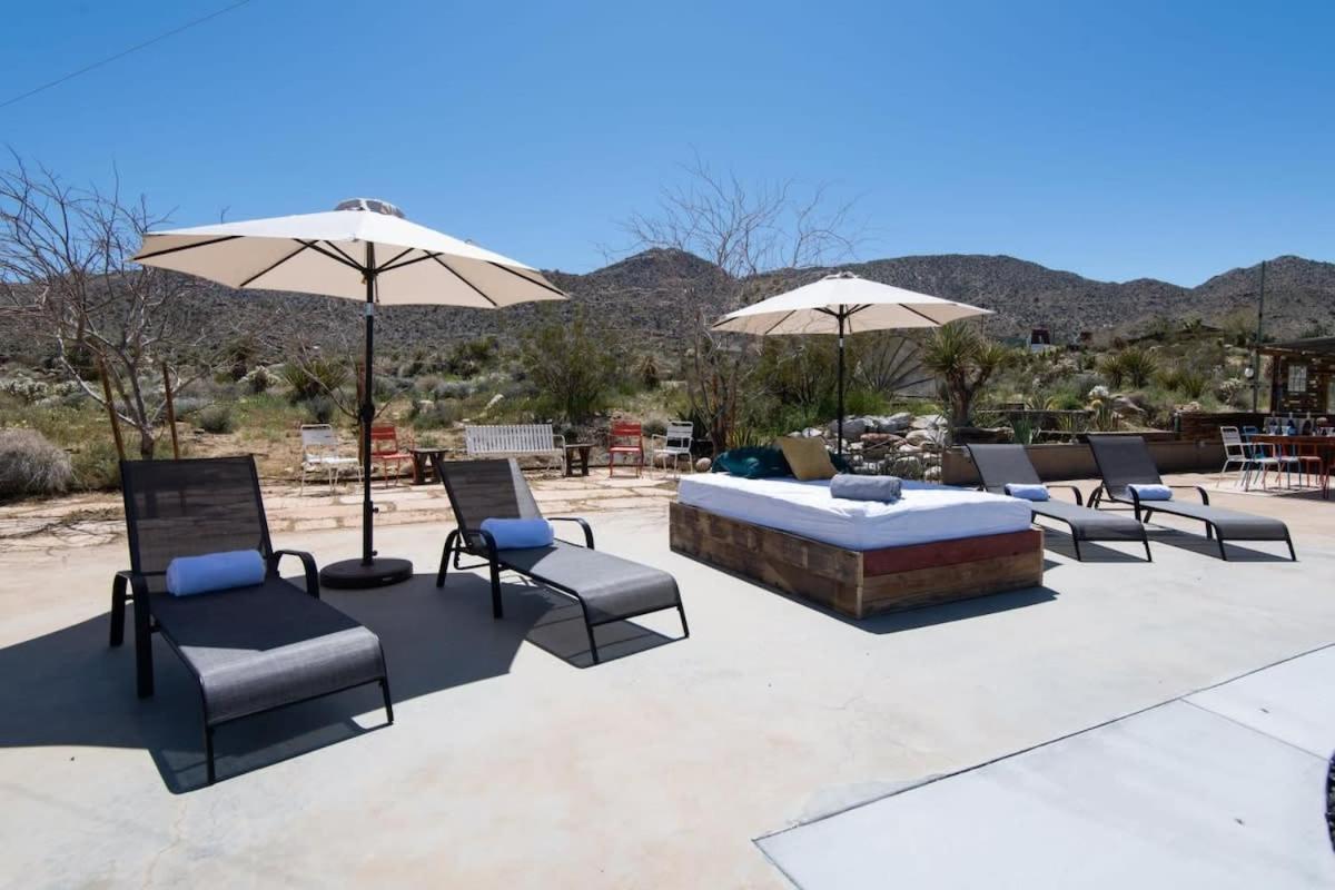 Renovated Lodge - Room 1 With Pool Access Joshua Tree Ngoại thất bức ảnh
